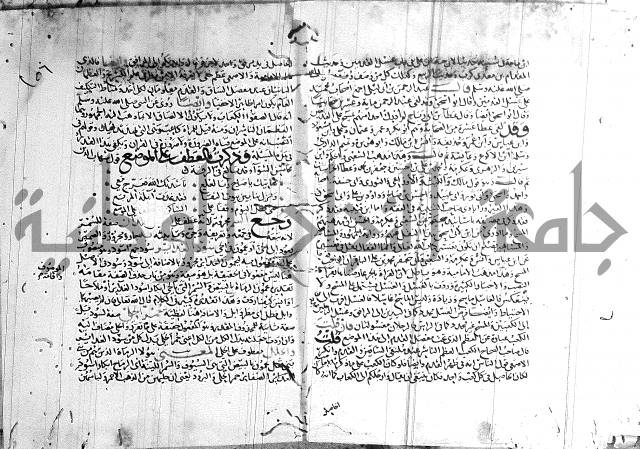 شرح لامية العجم 