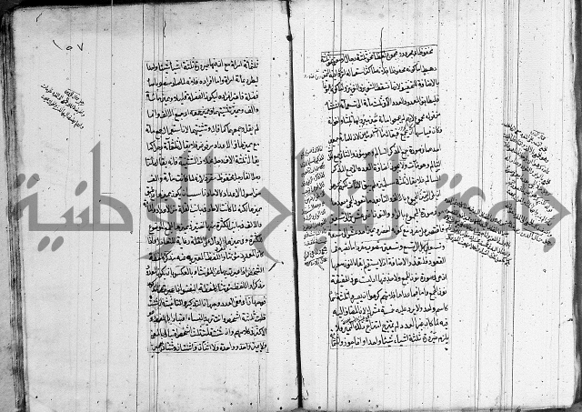 فوائد على الكافية 