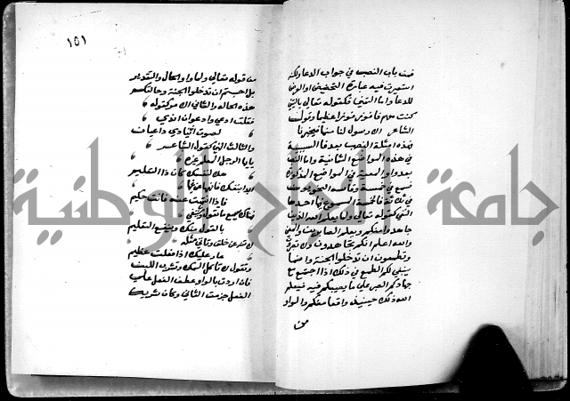 شرح شذور الذهب في معرفة كلام العرب 