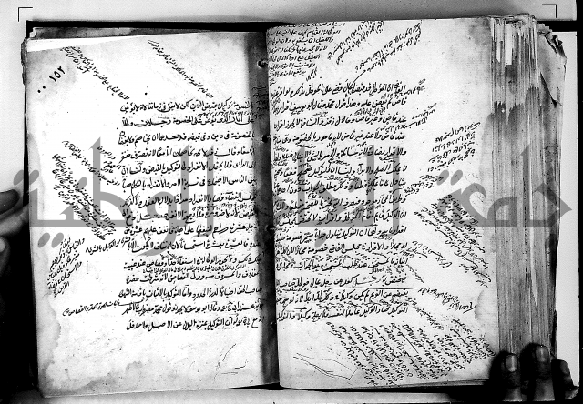 مذهب ابي حنيفة في الفقة