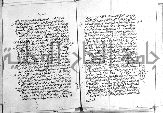 كتاب في اللغة العربية