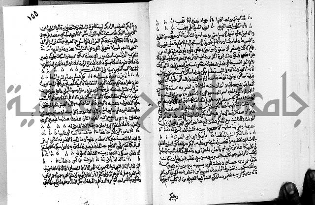 مختصر حاشية القهوتي 