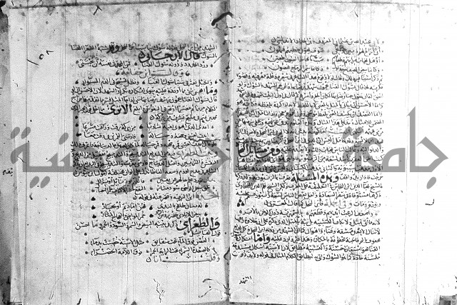 شرح لامية العجم 