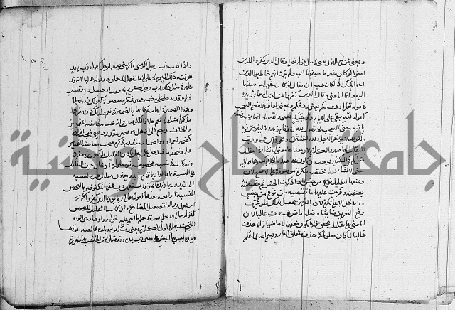 نحو - شرح الكافية