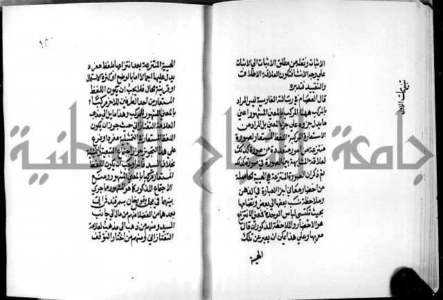 الرسالة البيانية