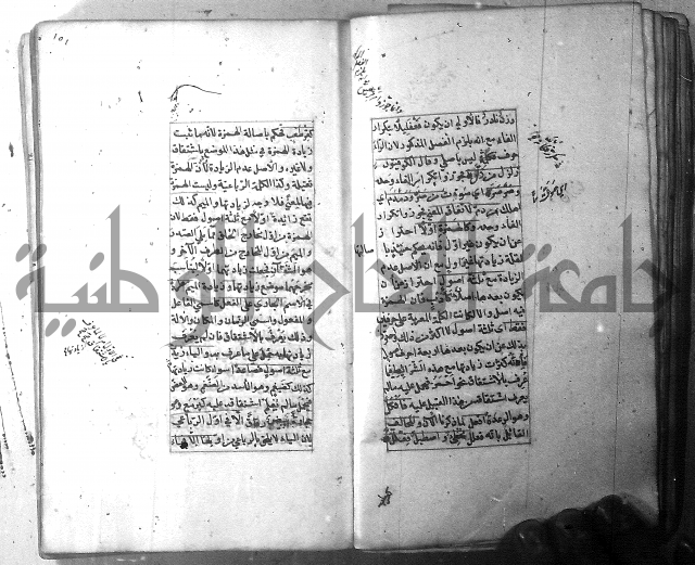 شرح الشافية 