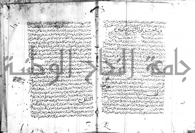 شرح لامية العجم 
