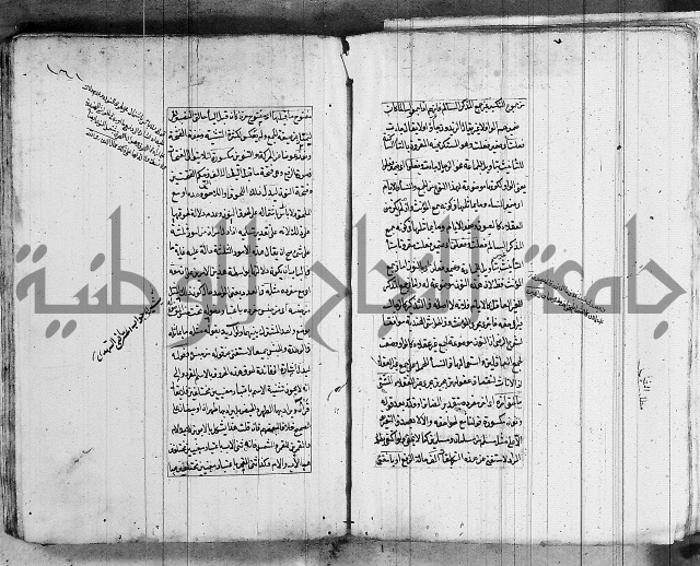 فوائد على الكافية 