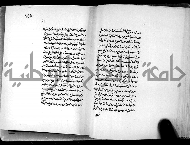 شرح شذور الذهب في معرفة كلام العرب 