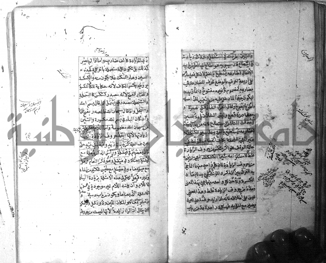 شرح الشافية 