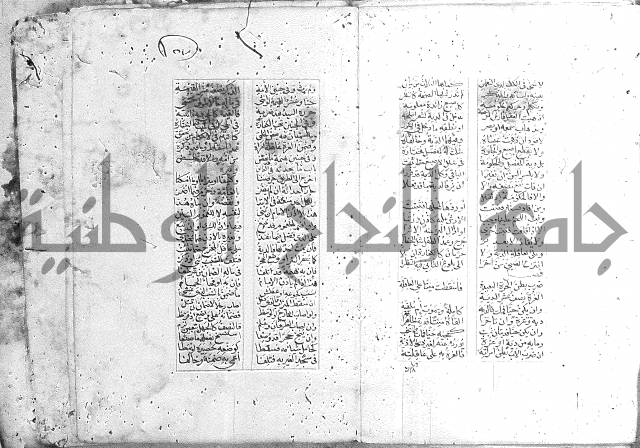 خلاصة التنوير 