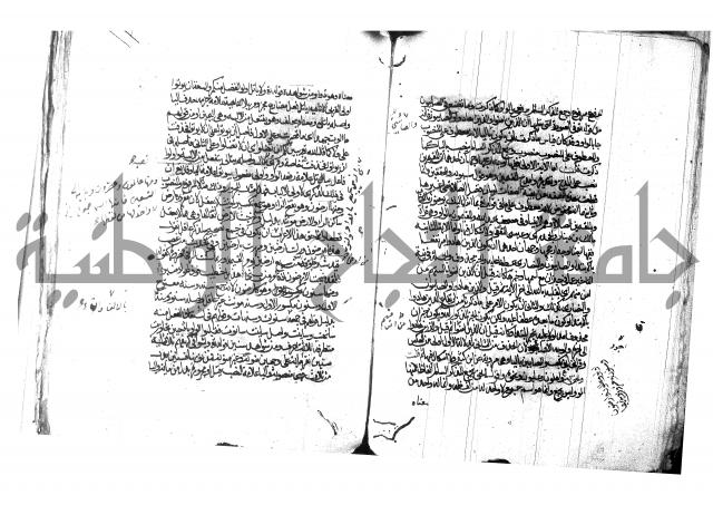 شرح شذور الذهب لابن هشام