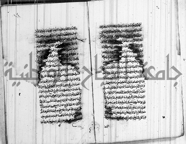 الرسالة الحسينية 