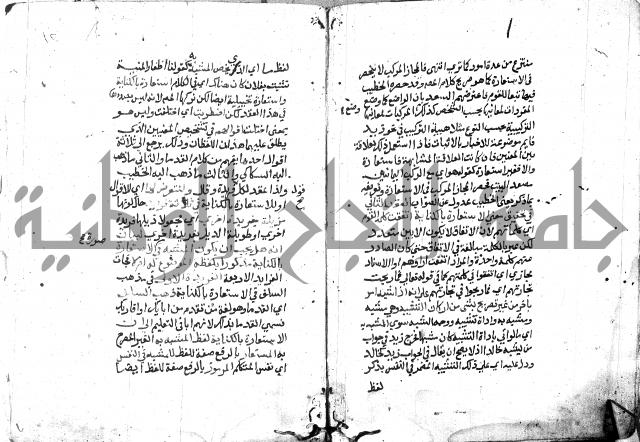 شرح الاستعارة الصغير للملوي