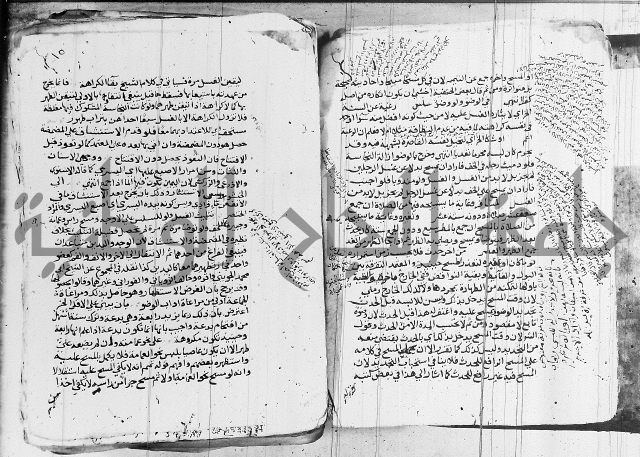 الزيادي على المنهج 