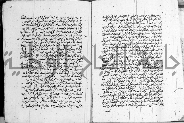 كتاب في اللغة