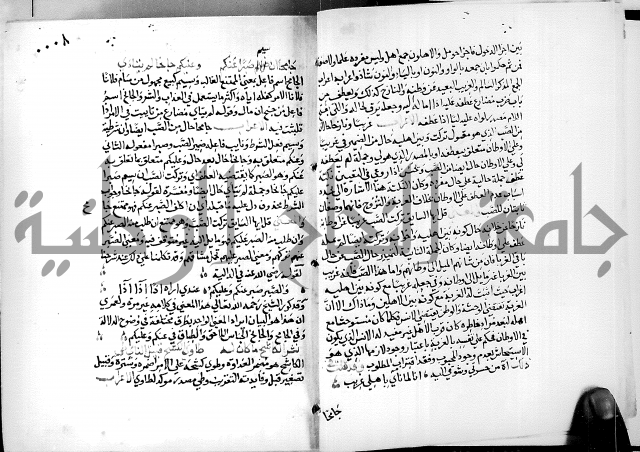 البحر الفائض في شرح ديوان ابن الفارض البوريني 