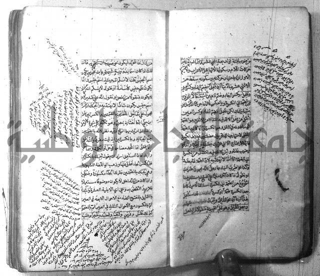شرح الشافية 