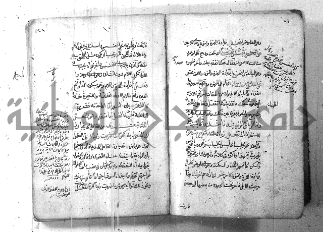 التفنن في الصرف