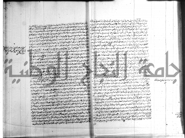 تنوير الابصار 