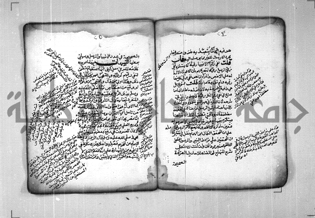 شرح الهمزية  