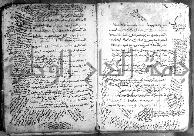 المواشح على الكافية