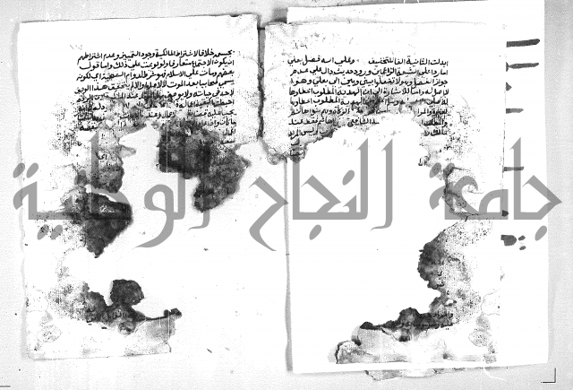 الهدهدي 