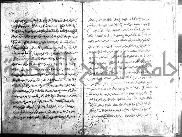 منية الفتى 