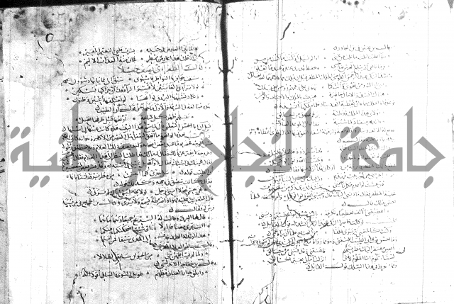 شرح لامية العجم 
