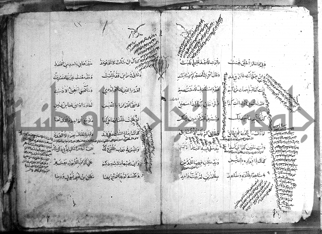 فقة حنفي 