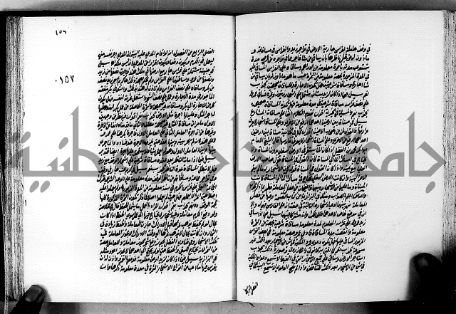 الجواهر الدورية في تنقيح الفتاوى الحامدية ج2 