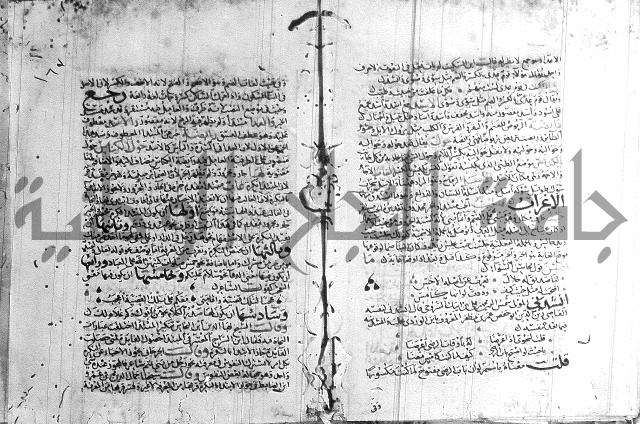 شرح لامية العجم 