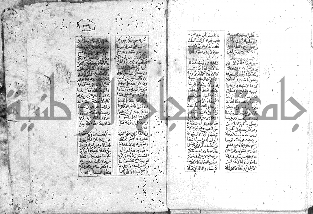 خلاصة التنوير 