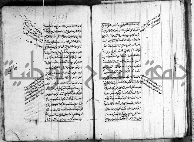فوائد على الكافية 