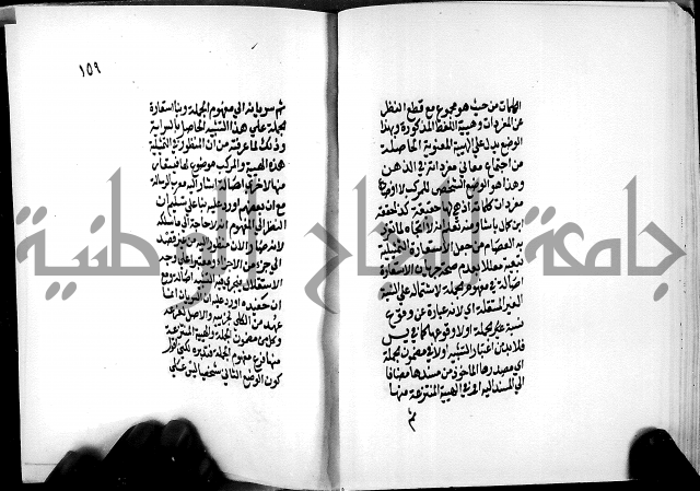 الرسالة البيانية