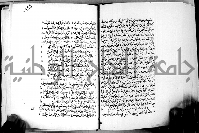 البحر الفائض في شرح ديوان ابن الفارض البوريني 