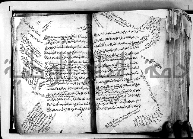 مذهب ابي حنيفة في الفقة