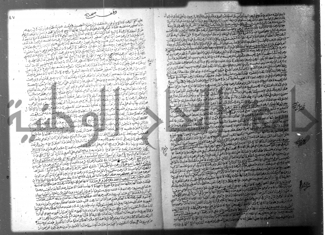 فيض الانهر على ملتقى الاكبر ج2 