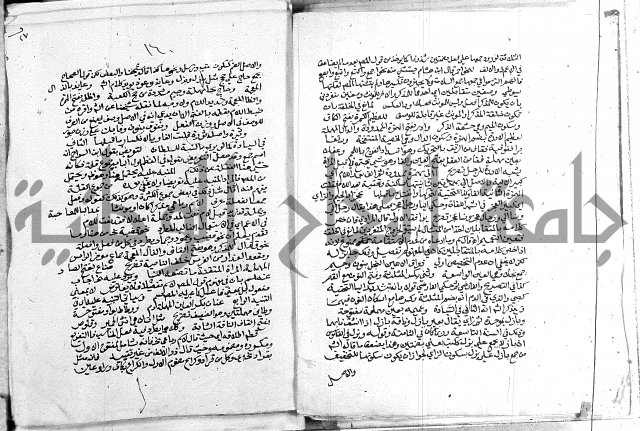 كتاب في اللغة العربية