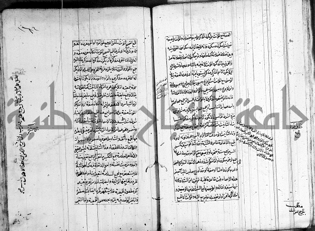 فوائد على الكافية 