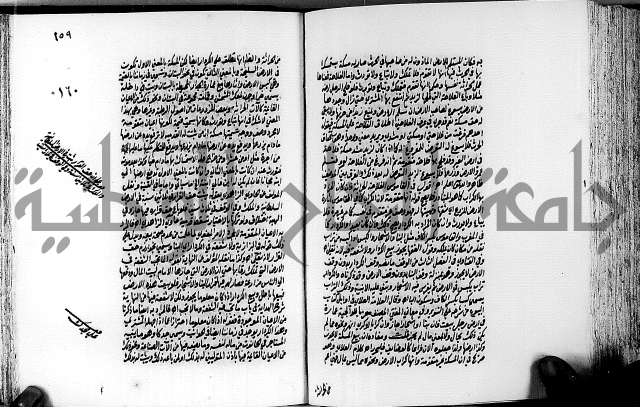 الجواهر الدورية في تنقيح الفتاوى الحامدية ج2 