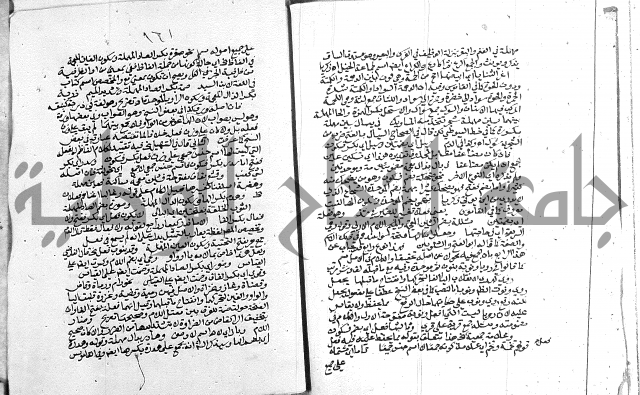 كتاب في اللغة العربية