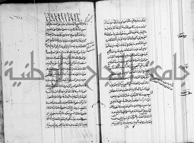 فوائد على الكافية 