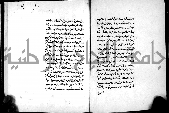 شرح شذور الذهب في معرفة كلام العرب 