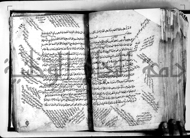 مذهب ابي حنيفة في الفقة