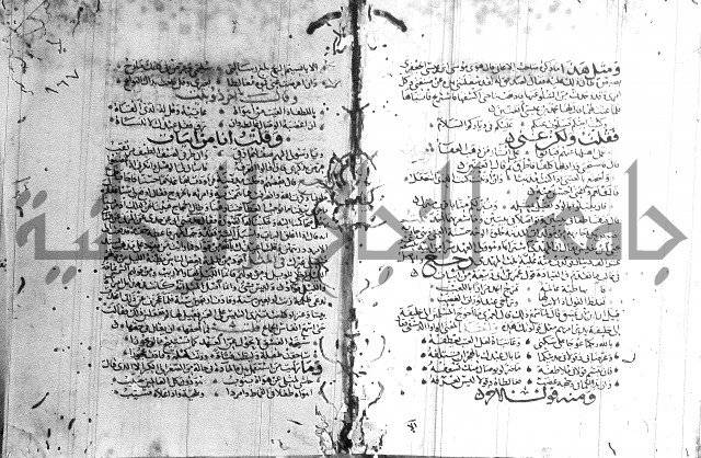 شرح لامية العجم 