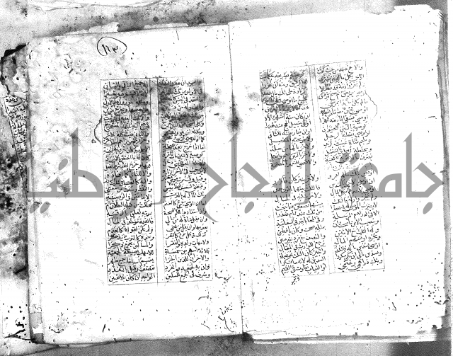 خلاصة التنوير 