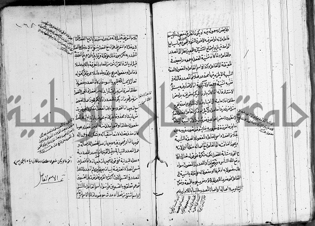 فوائد على الكافية 