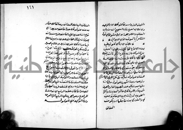 شرح شذور الذهب في معرفة كلام العرب 