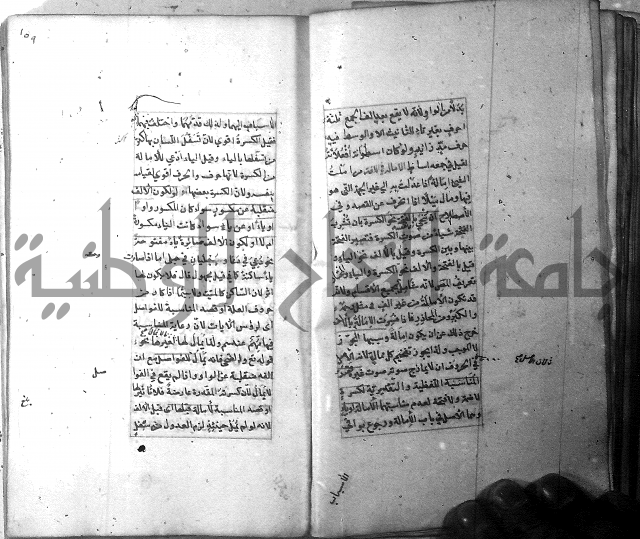 شرح الشافية 
